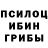 Псилоцибиновые грибы Cubensis Seyfu Ali