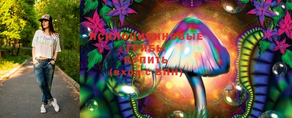 бошки Пестово