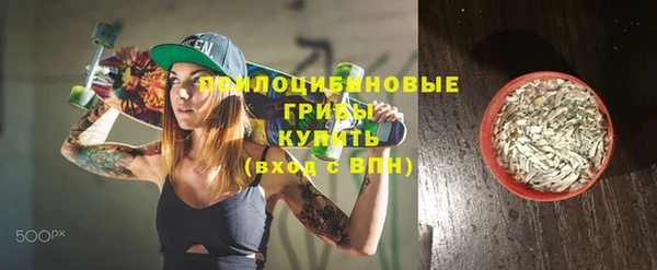 гашик Осинники