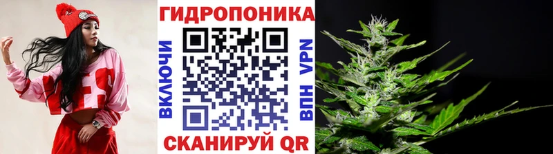 Шишки марихуана сатива  Богучар 